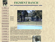 Tablet Screenshot of figmentranch.sitestreet.com